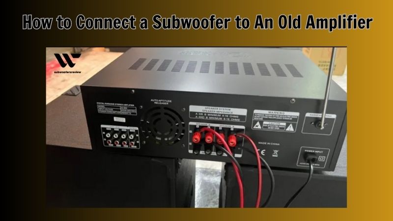Old Amp, New Bass: How to Connect a Subwoofer to An Old Amplifier